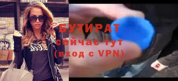 хмурый Верея