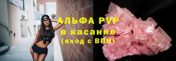 хмурый Верея