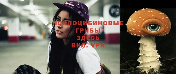 эйфоретик Волоколамск