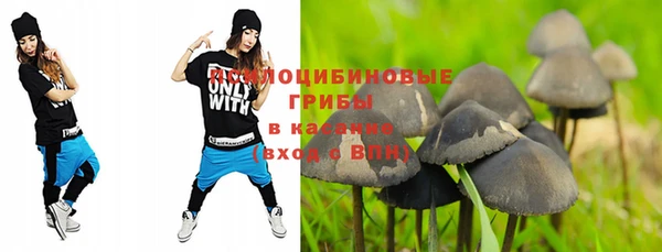 эйфоретик Волоколамск