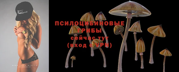 сатива Верхний Тагил