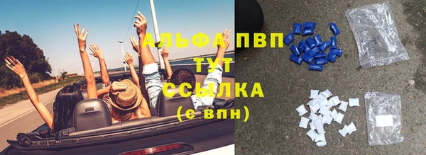 хмурый Верея