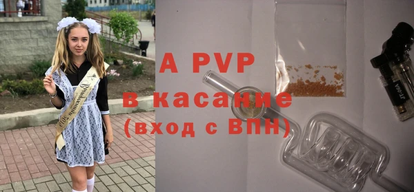 хмурый Верея
