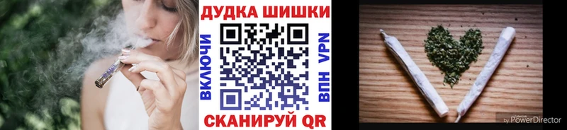 Бошки Шишки гибрид  Гай 